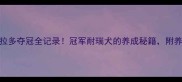拉布拉多夺冠全记录冠军耐瑞犬的养成秘籍附养宠干货