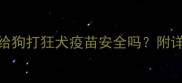 宠物医生建议自己给狗打狂犬疫苗安全吗附详细操作指南和避坑要点