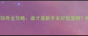 比熊犬VS泰迪犬饲养全攻略谁才是新手友好型宠物附详细养护指南