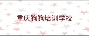 重庆狗狗培训学校