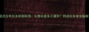成犬拉布拉多体型标准头部长度多少厘米附成长发育全指南