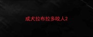成犬拉布拉多咬人