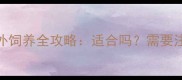 哈士奇户外饲养全攻略适合吗需要注意什么