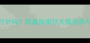 宠物抓伤后必须打针吗权威指南狂犬病预防与紧急处理全流程