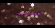 小拉布拉多如何喂食