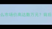纯种哈士奇价格为什么市场价高达数万元背后的饲养成本与市场规律