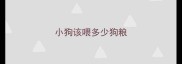 小狗该喂多少狗粮