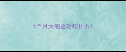 1个月大的金毛吃什么