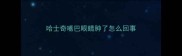哈士奇嘴巴眼睛肿了怎么回事