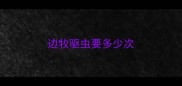 边牧驱虫要多少次