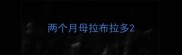两个月母拉布拉多