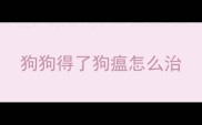 狗狗得了狗瘟怎么治