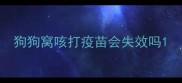 狗狗窝咳打疫苗会失效吗