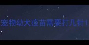 宠物幼犬疫苗需要打几针