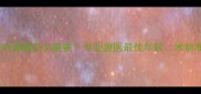 科学选择小狗绝育时间对健康至关重要专业兽医最佳年龄术前准备及术后护理全流程