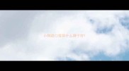 小狗进口疫苗什么牌子好