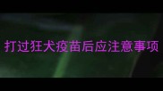 打过狂犬疫苗后应注意事项