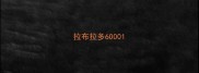 拉布拉多6000