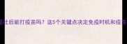 狗狗呕吐后能打疫苗吗这5个关键点决定免疫时机和疫苗选择