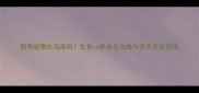 狗狗能喝生鸡蛋吗生食vs熟食全攻略与营养安全指南