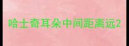 哈士奇耳朵中间距离远