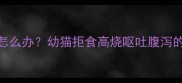 猫咪不吃东西发烧怎么办幼猫拒食高烧呕吐腹泻的7大紧急处理指南