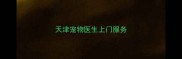 天津宠物医生上门服务