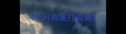 4个月狗重打疫苗