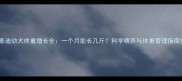 泰迪幼犬体重增长全一个月能长几斤科学喂养与体重管理指南