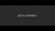 金毛什么时候变色