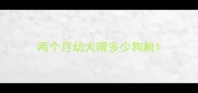 两个月幼犬喂多少狗粮