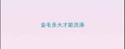 金毛多大才能洗澡