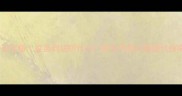 幼犬疫苗全攻略疫苗到底防什么新手养狗必看避坑指南