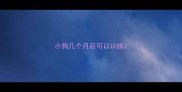 小狗几个月后可以训练