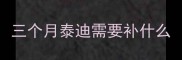 三个月泰迪需要补什么