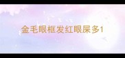 金毛眼框发红眼屎多