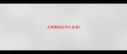 上海哪有拉布拉多卖