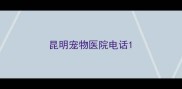 昆明宠物医院电话