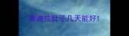 泰迪拉肚子几天能好