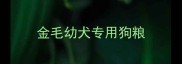 金毛幼犬专用狗粮