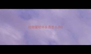 边牧爱咬坏东西怎么办