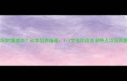 猫咪何时算成年科学饲养指南1-7岁全阶段发育特点与饲养要点