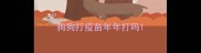 狗狗打疫苗年年打吗