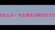 拉布拉多肉泡怎么办专业兽医详解治疗方法与预防措施