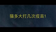 猫多大打几次疫苗