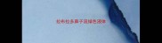 拉布拉多鼻子流绿色液体