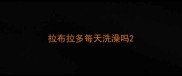 拉布拉多每天洗澡吗
