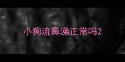 小狗流鼻涕正常吗