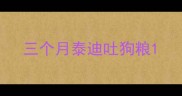 三个月泰迪吐狗粮