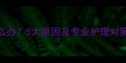 泰迪犬频繁吐黄水怎么办5大原因及专业护理对策附紧急处理指南